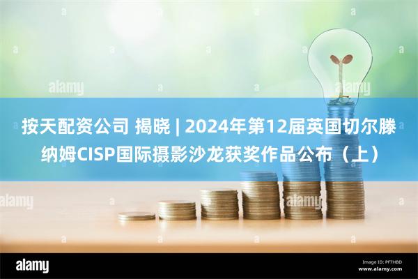 按天配资公司 揭晓 | 2024年第12届英国切尔滕纳姆CISP国际摄影沙龙获奖作品公布（上）