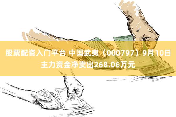 股票配资入门平台 中国武夷（000797）9月10日主力资金净卖出268.06万元