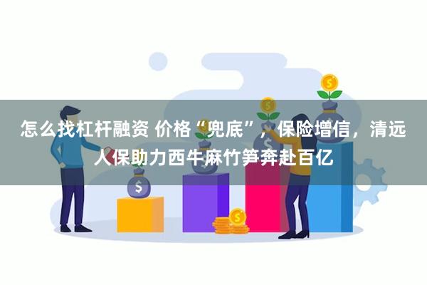 怎么找杠杆融资 价格“兜底”，保险增信，清远人保助力西牛麻竹笋奔赴百亿