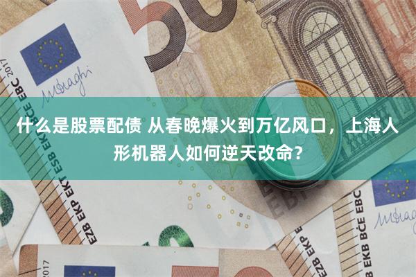 什么是股票配债 从春晚爆火到万亿风口，上海人形机器人如何逆天改命？